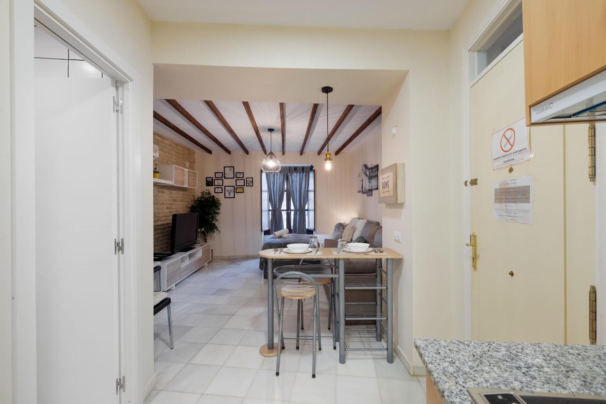 Y Lofts En Triana Appartement Séville