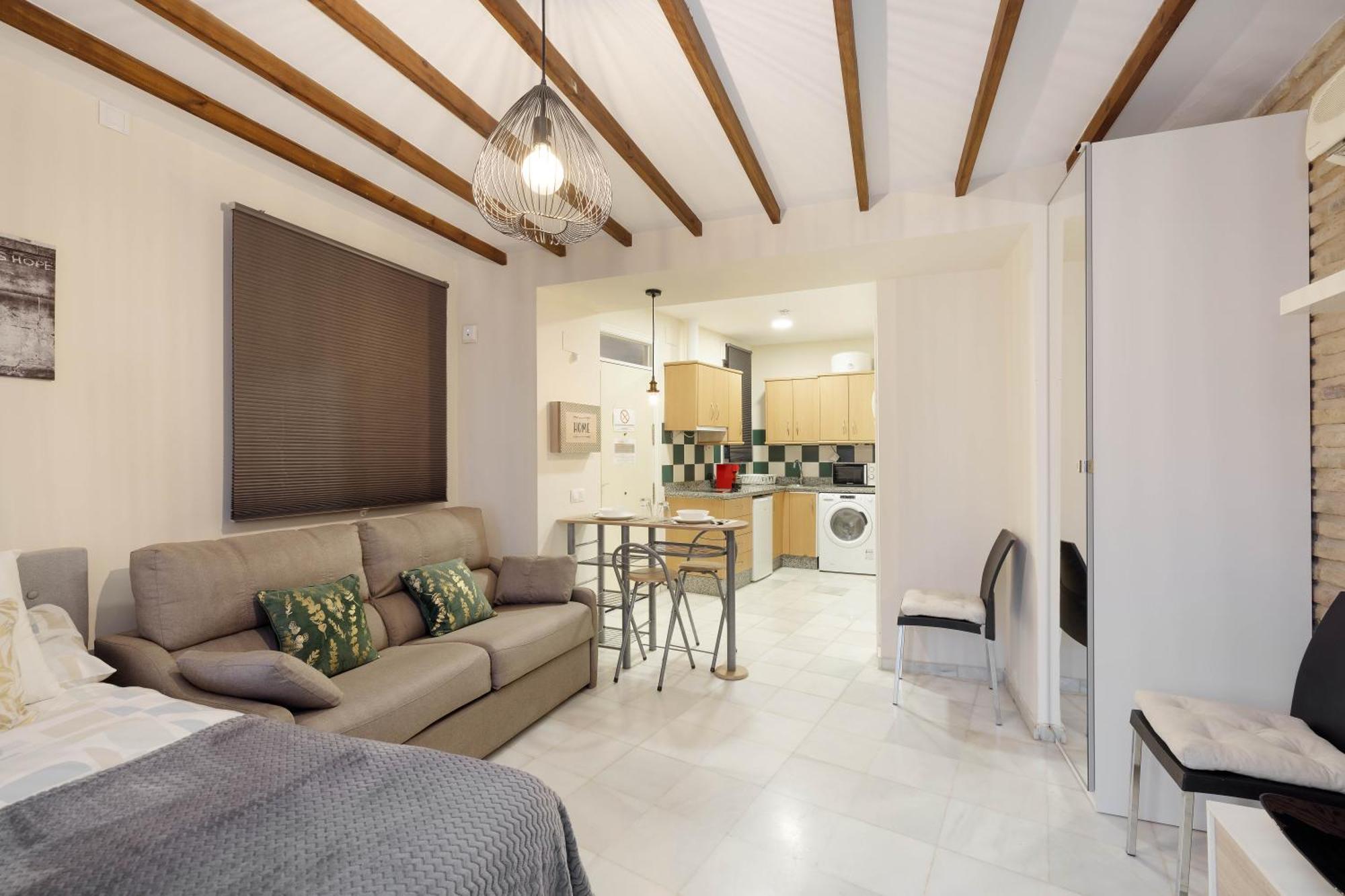 Y Lofts En Triana Appartement *